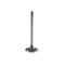 Intake valve B18 dy 40mm Intake valve B18 dy 40mm