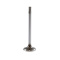 Exhaust valve B20A/B/D/B30A dy 35mm Exhaust valve B20A/B/D/B30A dy 35mm