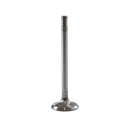 Exhaust valve B20/B30 dy 35mm High Perf. in the group Volvo / Engines Volvo / Volvo B30 / Valve mechanism B30A at VP Autoparts Inc. (419640HP)