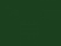 Enamel 142 Dark green spray