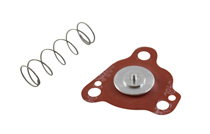 Diaphragm Kit