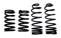 Coil spring kit sport 140 1974 (only)