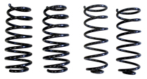 Coil spring kit sport 850 91-96