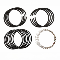 Piston ring kit B19/20 8/73- 0,30"