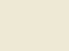 Enamel 65 Grey beige spray