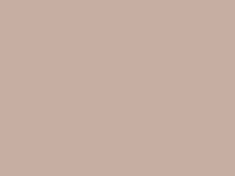 Enamel 48 Golden beige, spray
