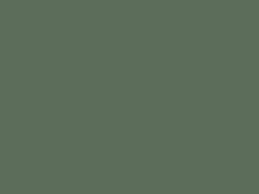 Enamel 56 Olive green, spray