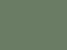 Enamel 73 Mist green, spray