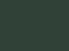 Enamel 94 Dark green, spray