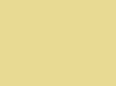 Enamel 100 Safari yellow, spray