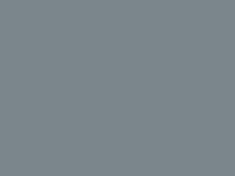 Enamel 101 Pearl grey, spray