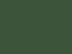 Enamel 110 Cypress green, spray