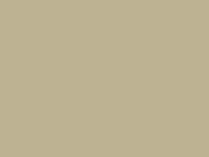 Enamel 119 Beige metallic spray