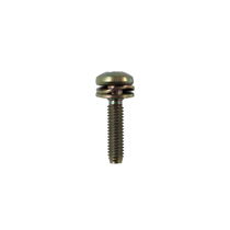 Screw