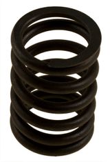 Valve spring B4B