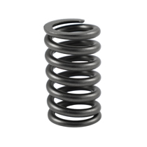 Valve spring B4B/B16/B30A