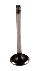 Intake valve B16