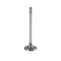 Intake valve B16
