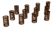 Valve spring kit B30E/F