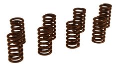 Valve spring kit B18/B20