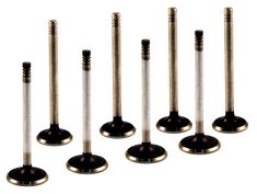 Engine valve set B20A/B/B30A