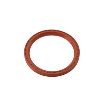 Seal ring rear crank shaft