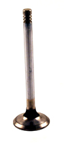 Exhaust valve B19/B21/B23/B200/B230 (Ej