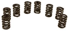 Dual valve springs B18/20