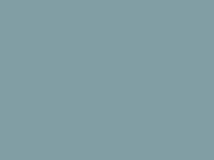 Enamel 20 Pearl grey spray