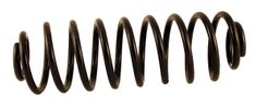 Coil spring PV rear