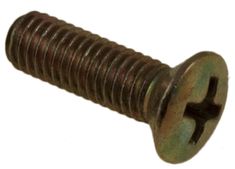 Screw