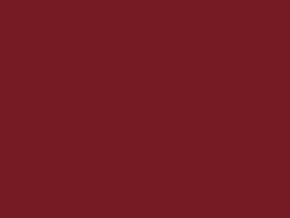 Enamel 8 Wine red Spray
