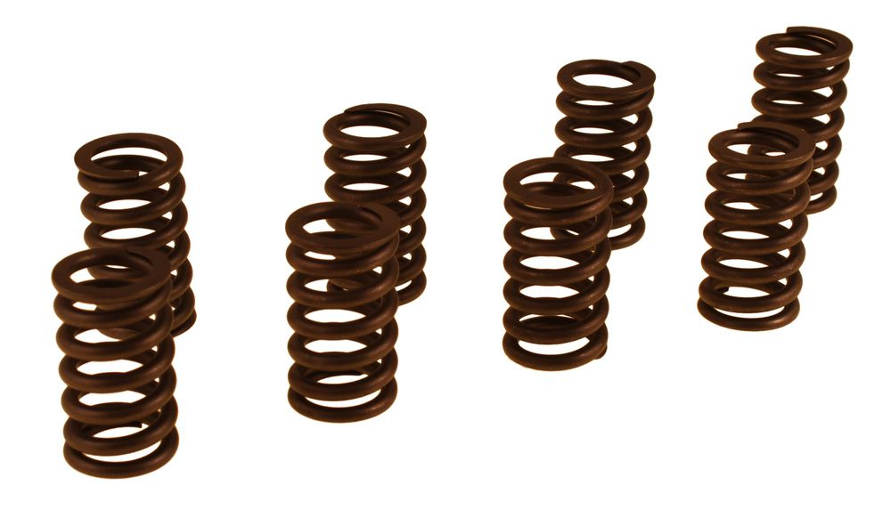 Valve spring kit B18/B20