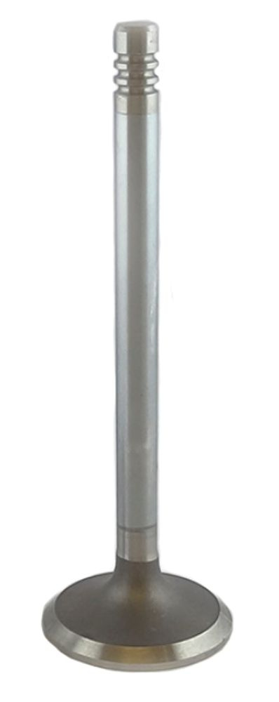 Exhaust valve B20/B30 d=37mm