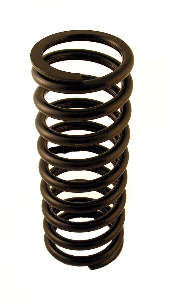 Coil spring 122 Wagon (220) rear