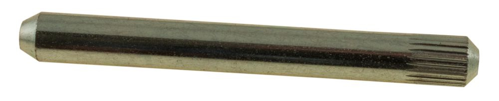 Door Hinge pin front PV/Amazon