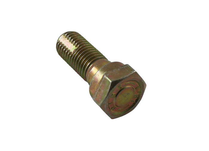 Bleeder Screw