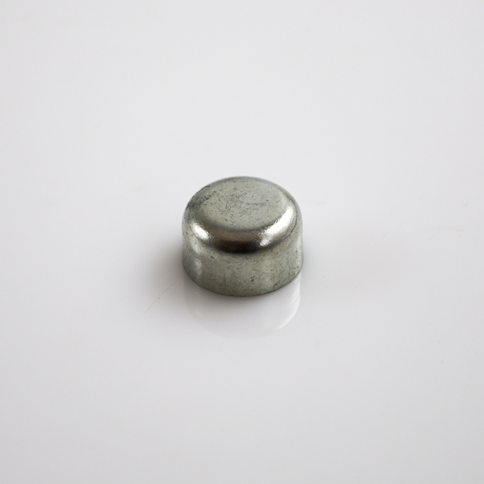 Cap plug 2/7/9/850 D=17,5mm