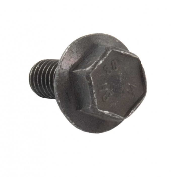 Flange Screw