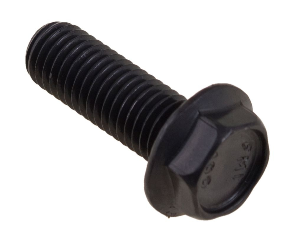 Flange Screw