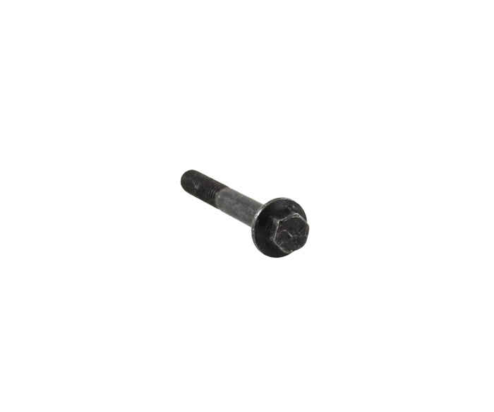 Screw M6 X 45 mm