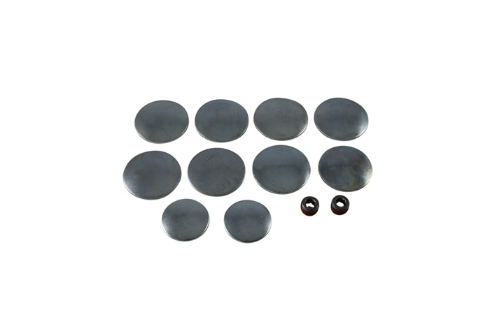 Expansion plug kit B18/B20