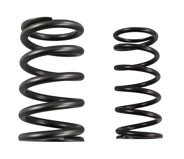 Dual valve springs